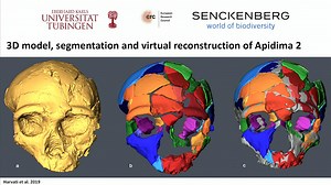 VIDEO: CARTA Presents The Origins of Today’s Humans - Katerina Harvati, Homo Sapiens Dispersals Out of Africa