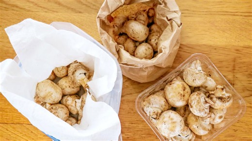 The best way to store mushrooms