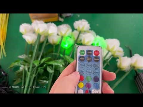 Remote Control LED Rose Stake Light – Multi Effect Lighting Demo for Outdoor Decoration | Northyle