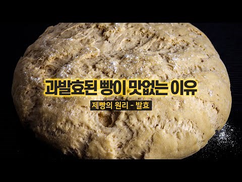 빵 만드는데 적절한 발효가 중요한 이유를 정확히 알아보자! [제빵의 원리]