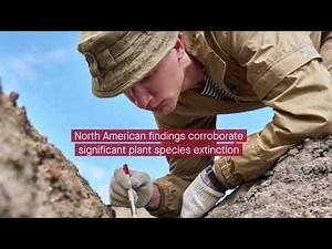 Unveiling the aftermath of the worlds ancient mass extinction