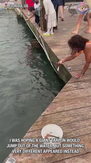 Always searching for the right, but the wrong keeps chasing me 🥹 | Now I've Seen Everything