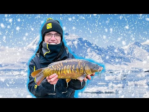 The REALITY Of Winter Match FISHING! | Makins Live Match Fishing