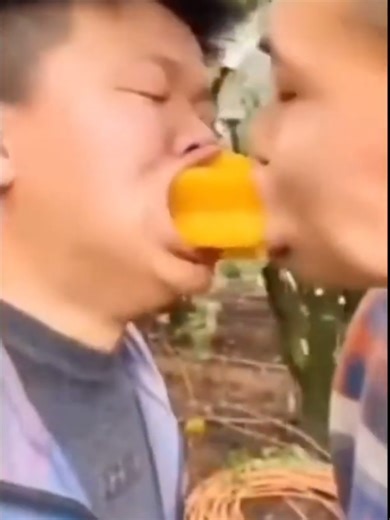 Toad in a Hole Cooking Meme