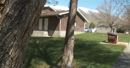 Neighbors react to fatal police shooting in Springville