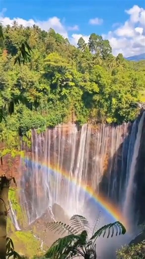 Estas são as Quedas de Tumpak Sewu, na província de Java Oriental, Indonésia. Semicirculares, ficam na encosta do vulcão ativo Semeru, que é o pico mais alto do país; o rio que as forma é o Glidik. São um ponto turístico comum, mas com acesso difícil.
