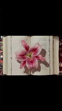 tutorial cara memakai aplikasi mendeley