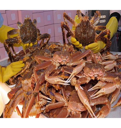 78K views · 1.8K reactions | Top Korean takeout seafood | Hoot Food | Facebook