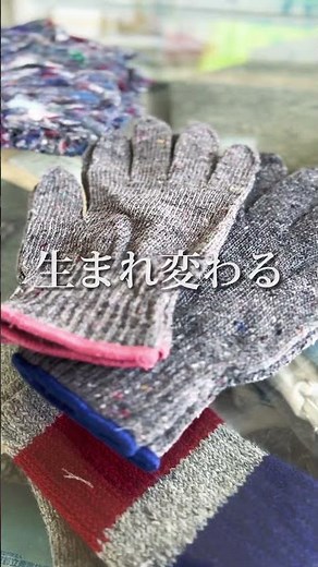【衝撃】捨てられた服が集まる工場に行ってみた #shorts