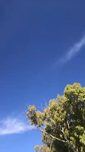 Ka ruta yohn🤣Sheluvs Sarssrs #amacombodance #fypviralシ #amacombodancechallenge #AmaCombo | Kaone ʚĭɞ