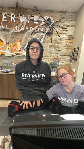 “Do you guys see birds?” Well… no. | Riverview Animal Hospital