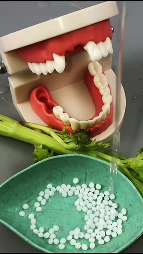 DIY Home Tooth Repair for Strong and Good-Looking Teeth