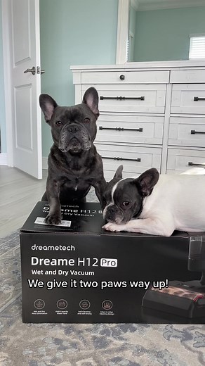 DreameTech H12PRO Review: Cordless Wet & Dry Vacuum Cleaner