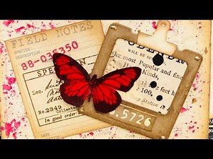 HOW TO: Use Tim Holtz Chapter 3 - No. 3