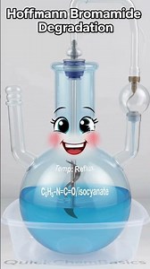 Hoffmann Bromamide Degradation Reaction