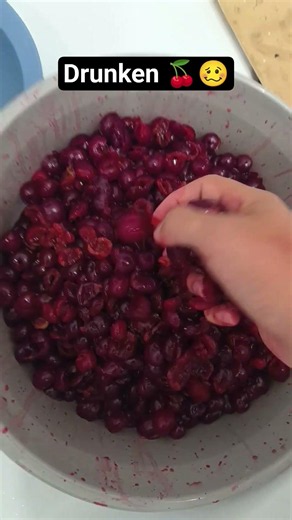 Git commit -m "Massive 15L Cherry Liqueur Build" 🚀 #DrunkenCherry #Winemaking #DevLife #DIYRecipe
