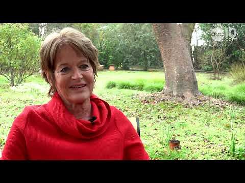 "It's a Wonderful Life" | Jimmy Stewart's daughter reflects on her father and the Christmas classic