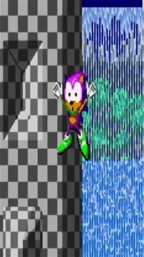 This Sonic Hack Feels Like a BRAND NEW Game 🤯 #shorts