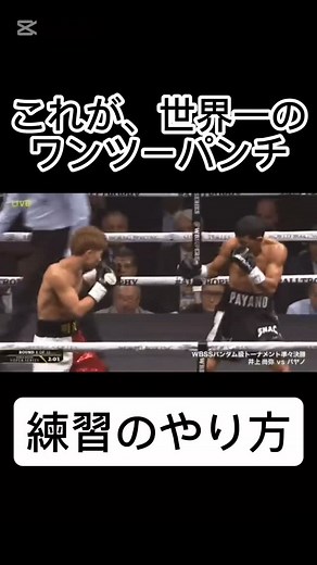 井上尚弥💥これが世界一のワンツーパンチ🥊 ワンツーの基本の打ち方の練習方法をお伝えします！ @tsukamoto_tomu ↑プロフリンクからWEB で体験申込1分で完了！ 🎉【8周年キャンペーン実施中！】🎉 今なら体験料金無料！&入会事務手数料無料！ さらにクオカード2000円プレゼント！！ ※2025年11月30日まで まずは体験レッスンのお申し込みからどうぞ😆👍➰ 大阪市中央区東心斎橋1-9-24アカナスビルヂング心斎橋6F 東心斎橋ボクシング&フィットネスクラブ Fitness Scene 通常会員 月曜〜金曜 11:00~23:00 日曜日 11:00〜20:00 (営業時間内使い放題) パーソナル会員 24時間年中無休(完全予約制) 06-4963-3277 ホームページ https://www.fitness-scene.net #ボクシングフィットネス #井上尚弥 #ワンツーパンチ #大阪ボクシングジム #ボクシングの基本 #キックボクシング #ボクシングトレーニング #コンビネーションパンチ #ボクシングの練習方法 #初心者歓迎ジム | フィットネスシーン
