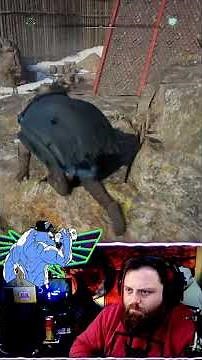 💫 Assassin’s Creed Valhalla (PS4) 🛡️ - Under The Skin Pt.2