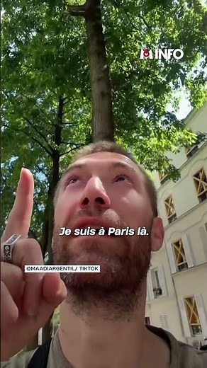 With the heatwave, cicadas arrive in Paris