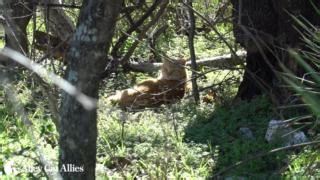 2K views · 249 reactions | Alley Cat Allies was on the ground in...