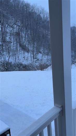 🎶 It’s beginning to look a lot like… I need to go to Florida!🏝️ 🎶 | Josh-Emily Bowman