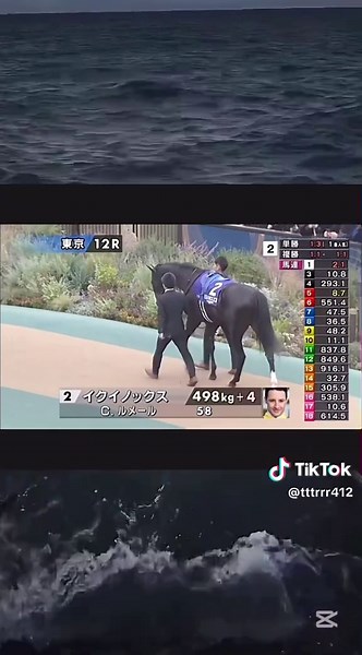 Japan Cup Horse Racing Highlights and Insights