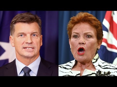 Coalition urged to prove it’s the ‘real deal’ not One Nation’s ‘cover band’