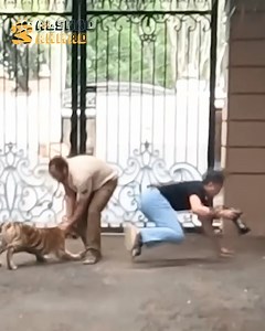 2.5M views · 47K reactions | Teona Core Part 1 | Alshad Ahmad | Facebook