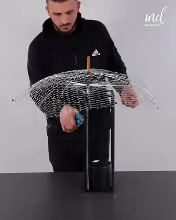 1M views · 10K reactions | Top Christmas tree concepts of this holiday season ✨ | Creative Bee | Facebook