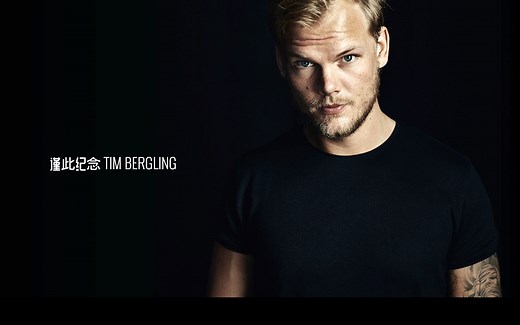 已完结-- [AVICII Invector] [全曲目+全DLC] [Hard难度] [Full Combo]