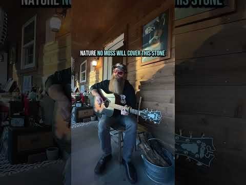 Tote A Poke - Roll Cage Mary #countryblues #folkmusic #rollcagemary