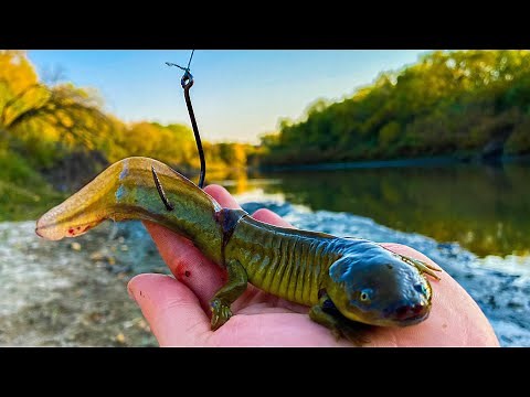 CATFISHING with GIANT LIZARDS in the middle of NOWHERE!!!
