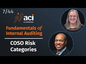 COSO Risk Categories | Fundamentals of Internal Auditing | Part 7 of 44