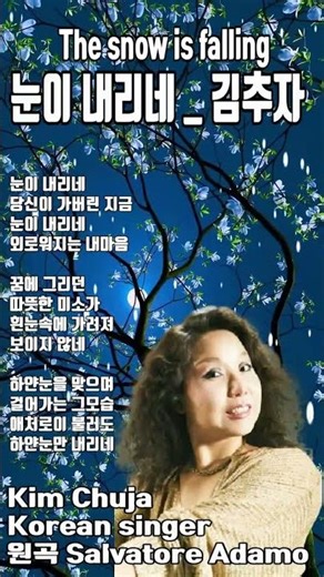 #눈이 내리네 #김추자#Kim Chuja The snow is falling