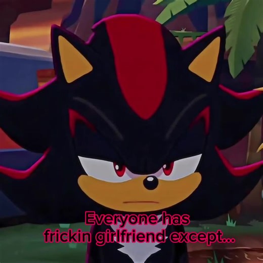 Sonic and Shadow: Epic Moments from Sonic the Hedgehog