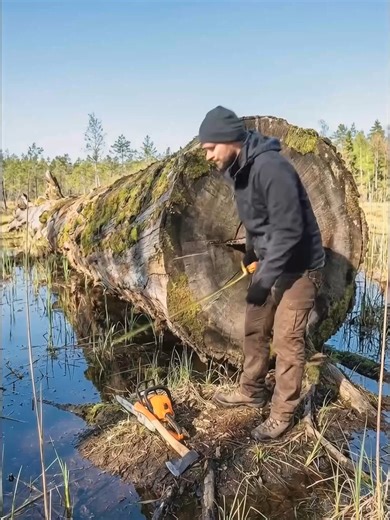 Viral step build 😱#surprise #houston #survivaltips | House Building