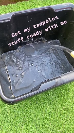 #🐸🐸🐸🐸 #not long #frog spawn #tadpoles #fyp #😊😊😊