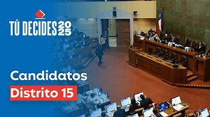 Candidatos distrito 15: Quiénes se presentan por comunas como Rancagua y Graneros
