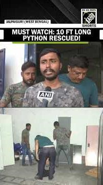 Must watch: Viral video of 10 ft long Burmese python being rescued from West Bengal’s Jalapiguri
