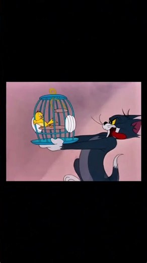 Tom and Jerry | Classic Cartoon Compilation
