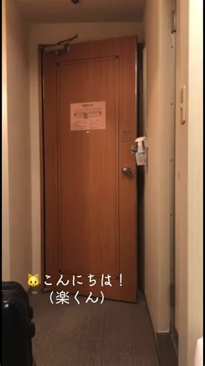 こきらく（田中洸希×柴崎楽）仲良しトークと幼少期エピソード