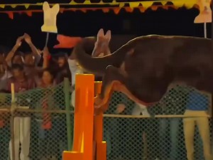 ‏#تعليم_تيك_توك