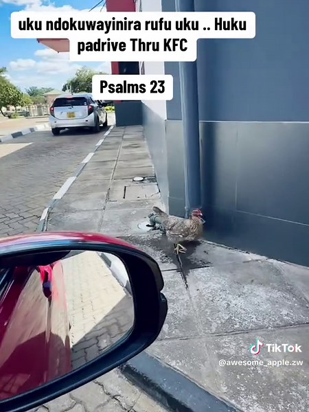 Awesome_Apple.zW on TikTok