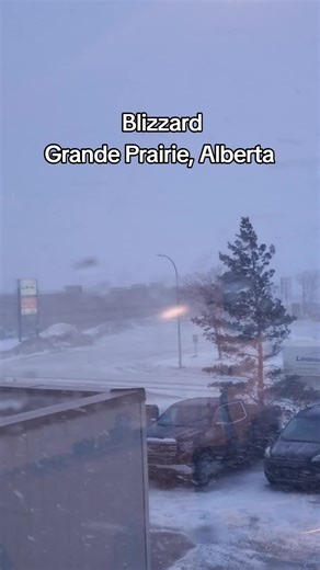 Blizzard Conditions in Grande Prairie, Alberta