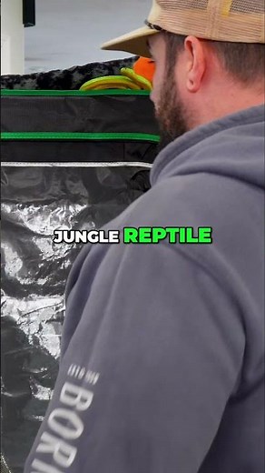 DIY Snake Enclosure: Bio-Friendly & Easy! #snakeenclosure #reptileenclosure