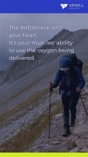 Muscular Endurance Training for Mountain Athletes #shorts