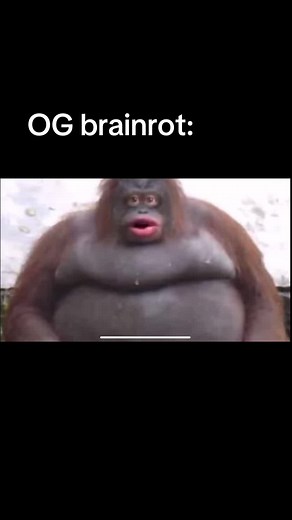 Funny Monkey Moments: Hilarious Poop Comedy