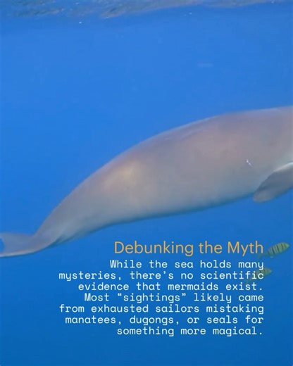 Curiosity Stream on Reels